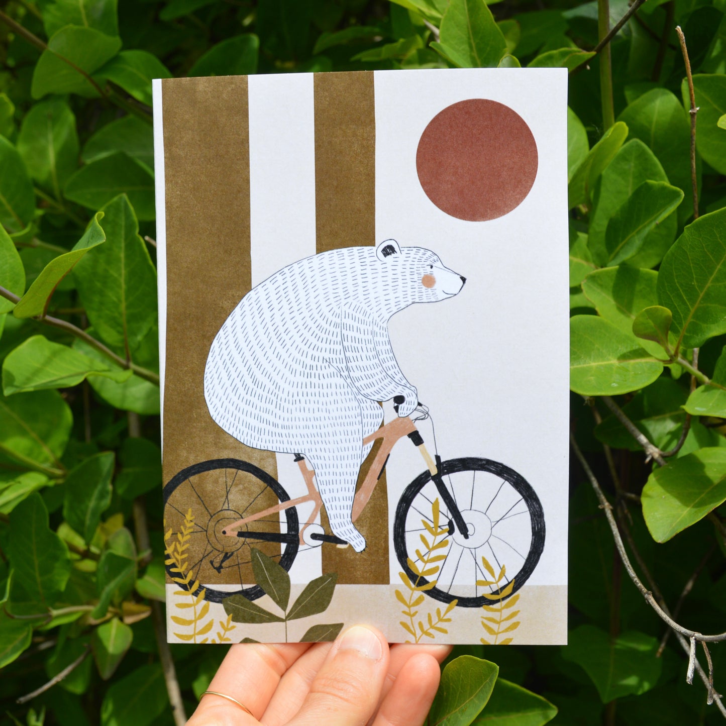 Bike Bear Greeting Card