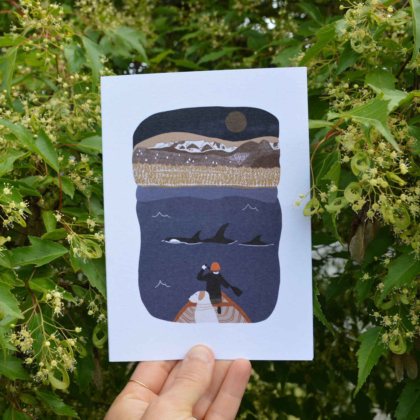 Comox Valley Night Greeting Card