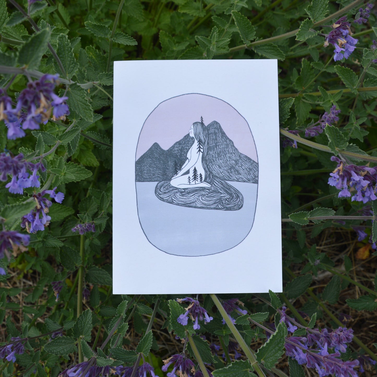 Mildly Wild Greeting Card