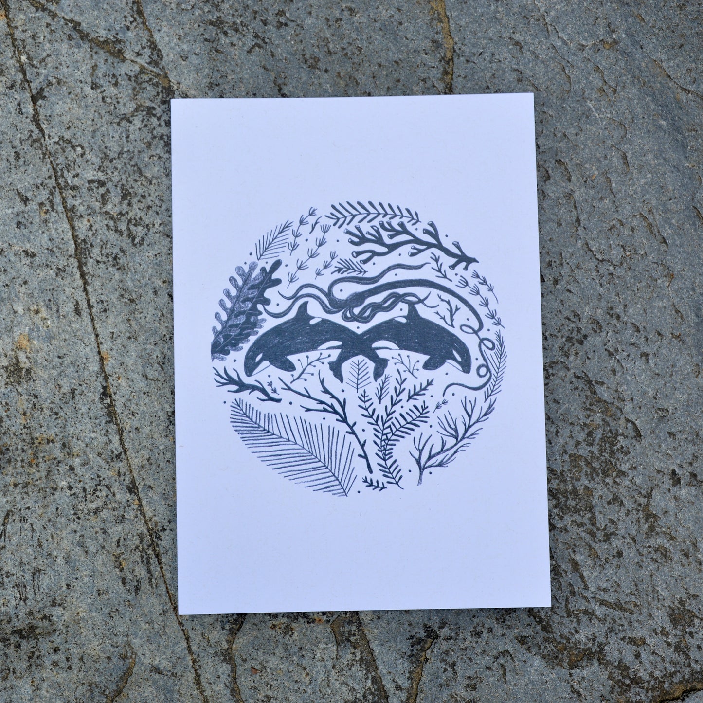 Whale Circle Greeting Card