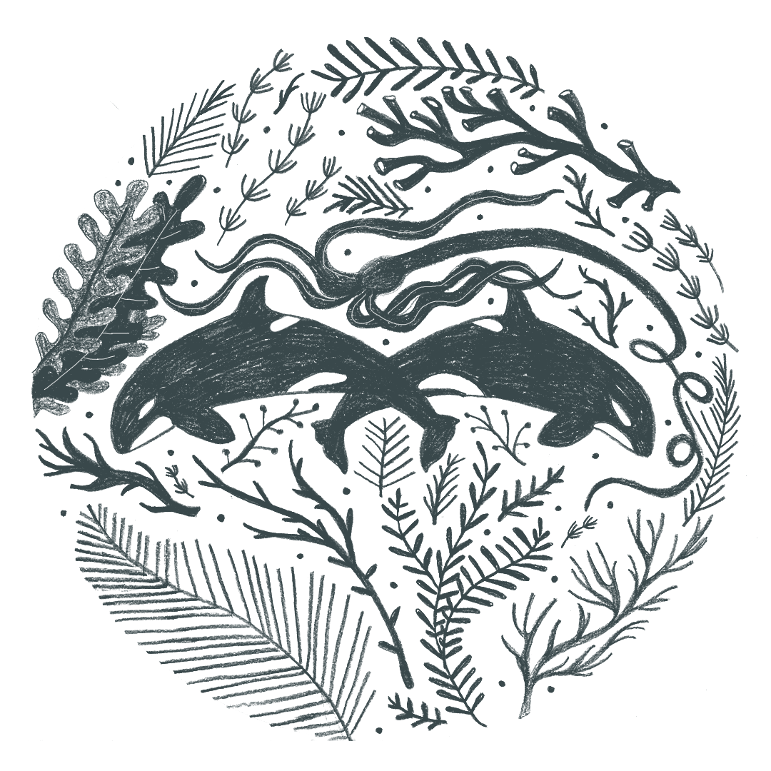 Whale Circle Greeting Card