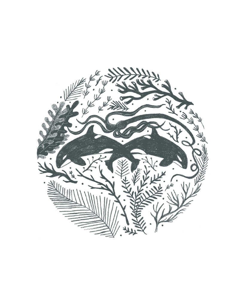 Whale Circle Print