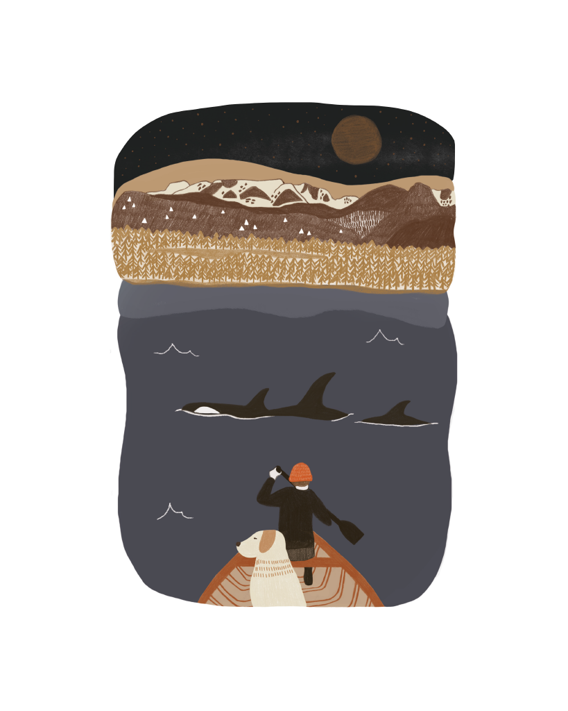 Comox Valley Night Print