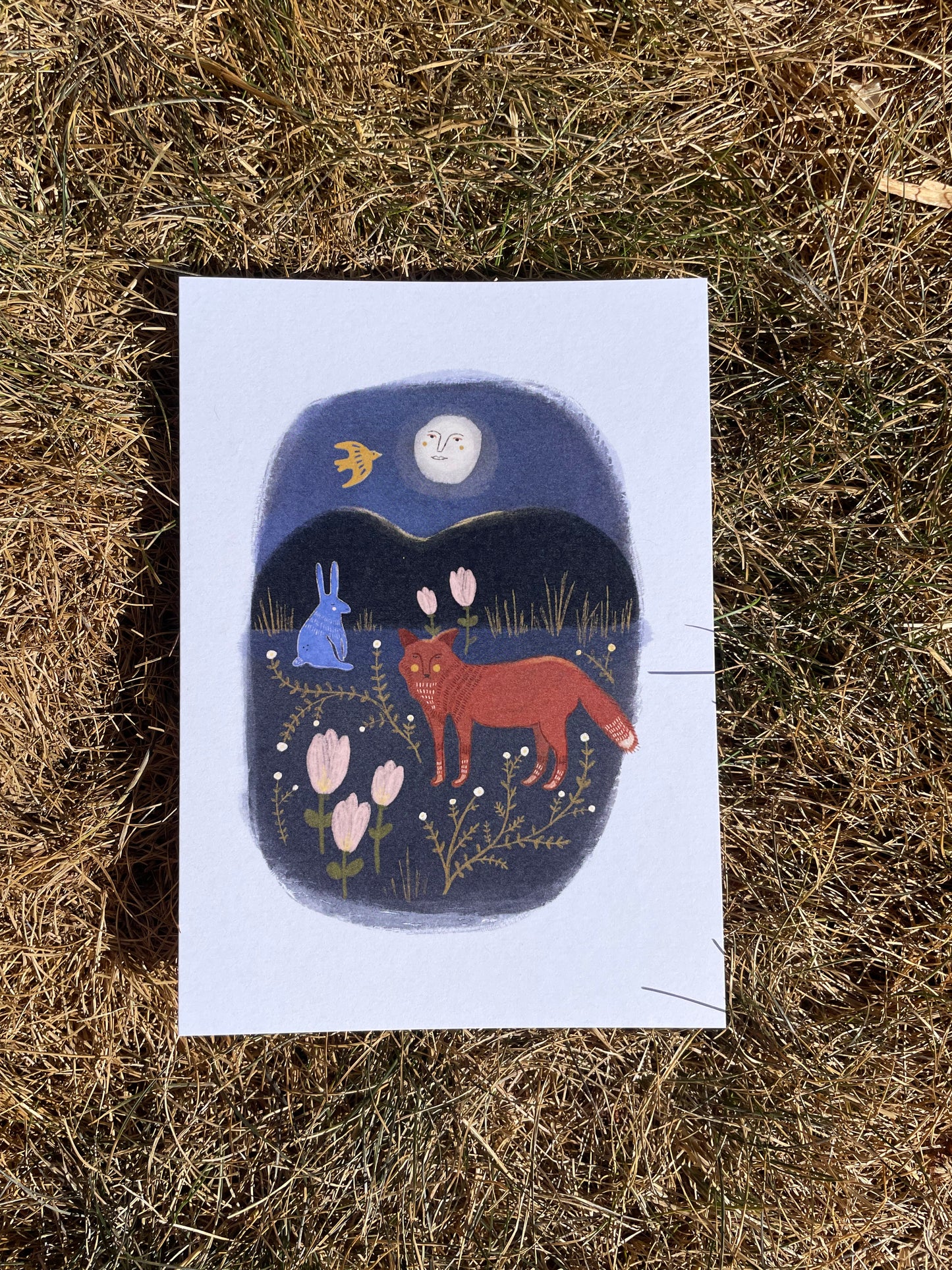 Night Fox Greeting Card