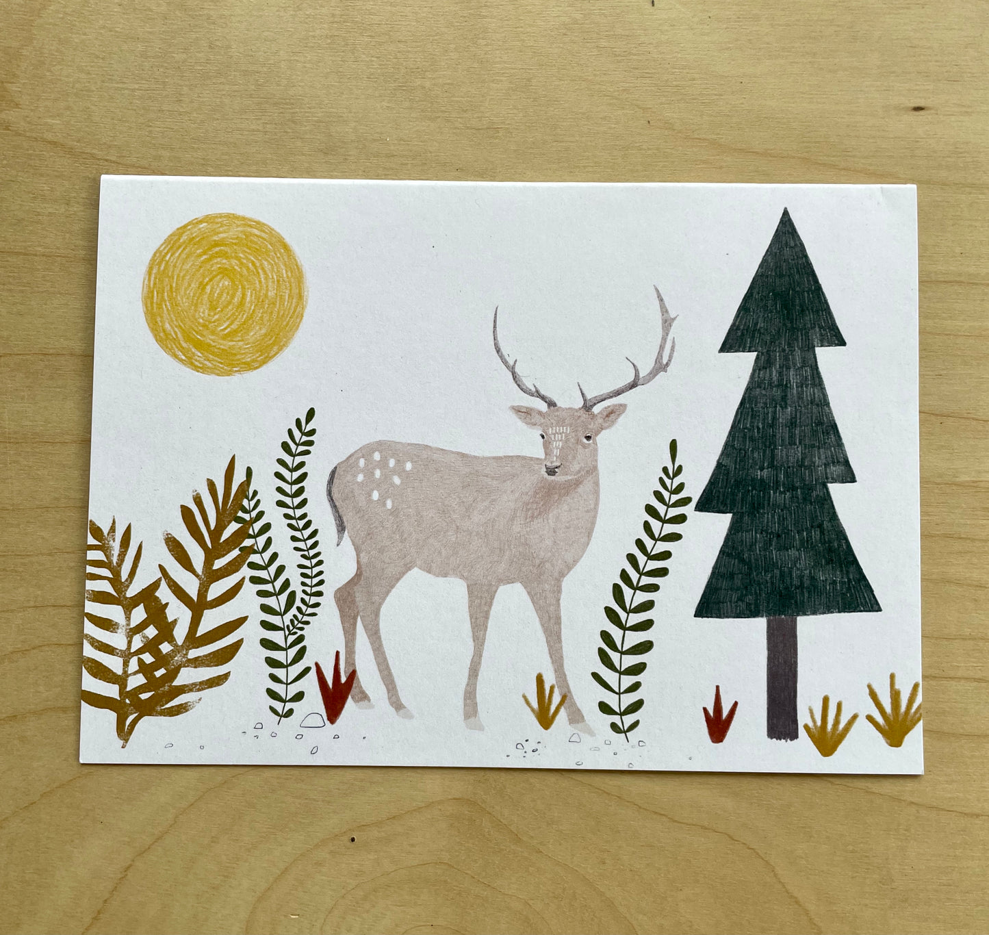 Hello Deer Greeting Card