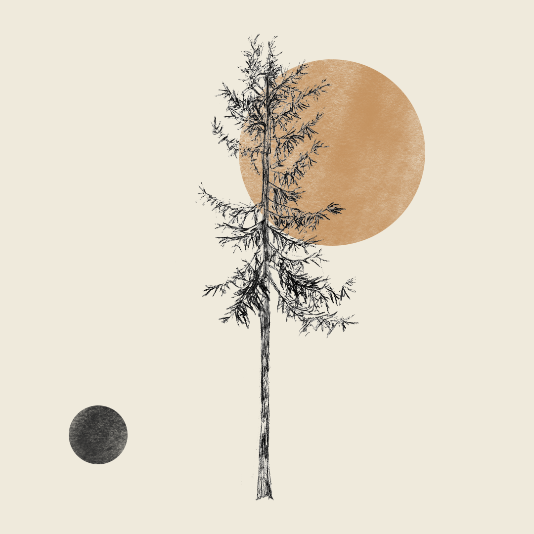 Moon Tree Greeting Card