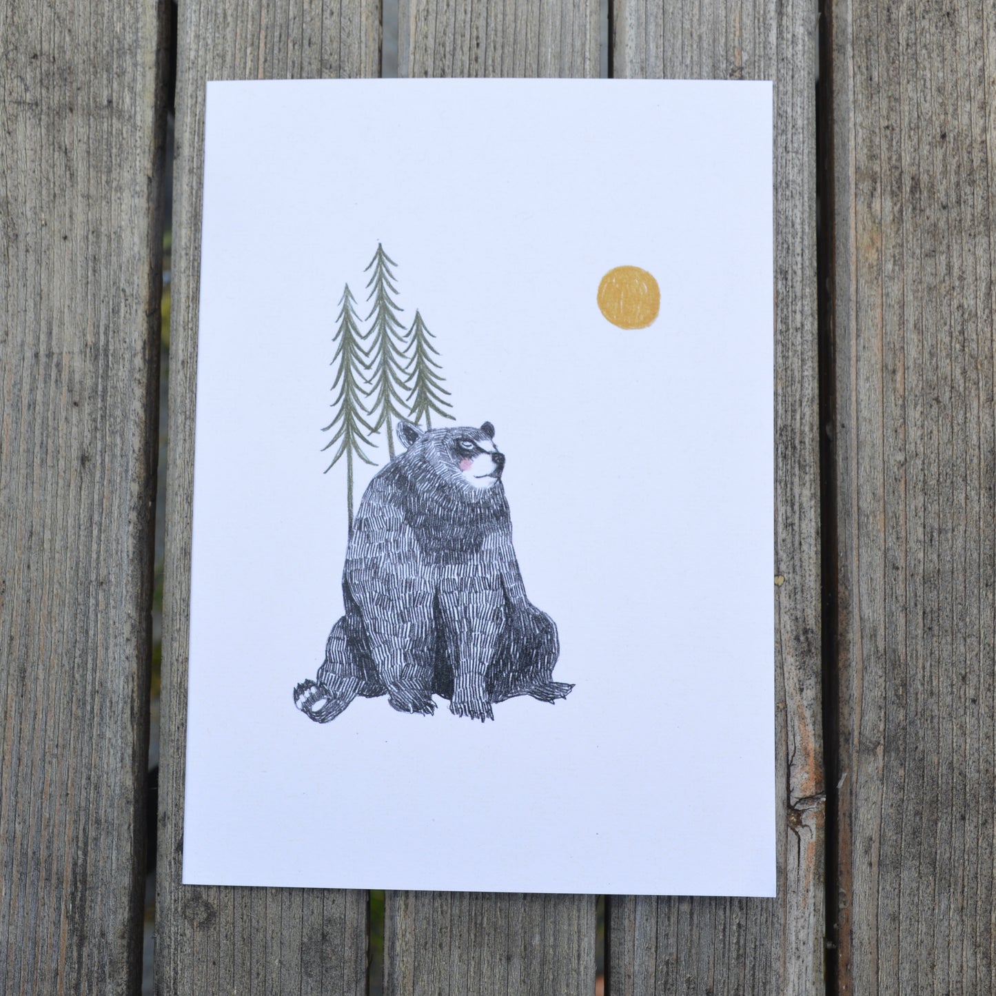 Sun Bear Greeting Card