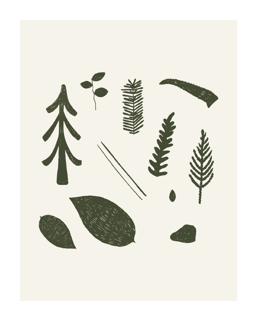 Forest Findings Print